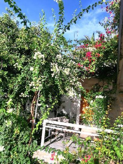 Lonos Circle Terrace View Otel Romblon Dış mekan fotoğraf